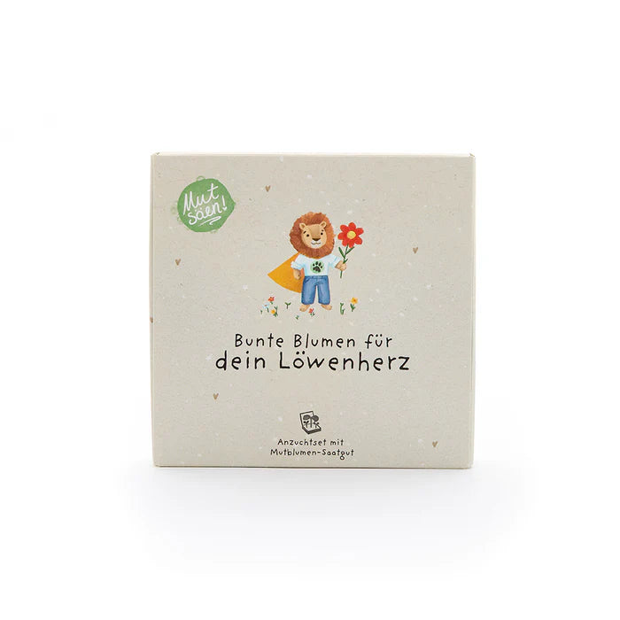 Pflanzkästchen – Mutblumen