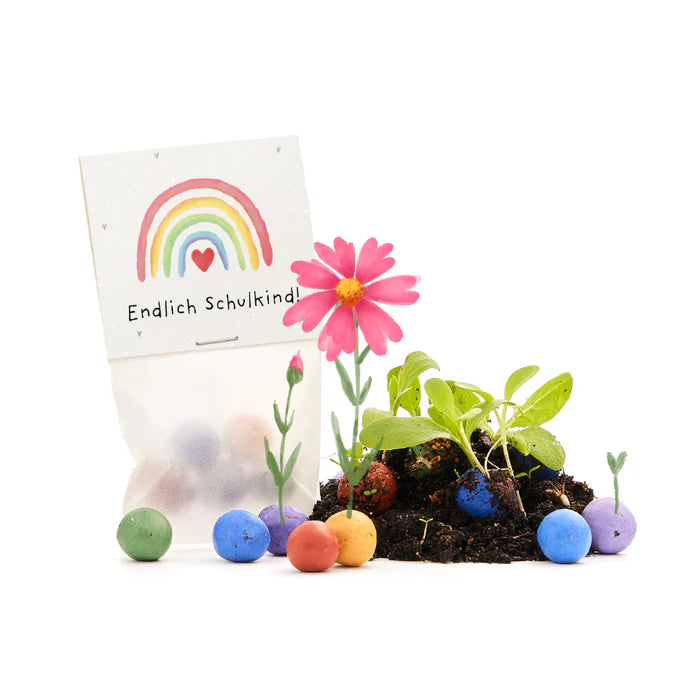 Blumenmurmeln im Tütchen zur Einschulung "Endlich Schulkind"