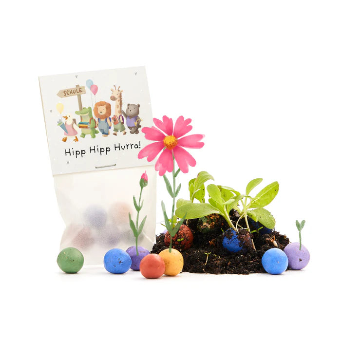 Blumenmurmeln im Tütchen zur Einschulung "Hipp Hipp Hurra!"