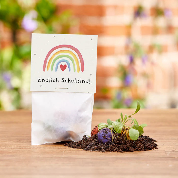 Blumenmurmeln im Tütchen zur Einschulung "Endlich Schulkind"