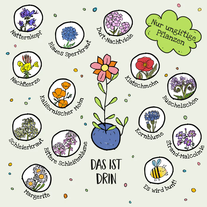 Blumenmurmeln im Tütchen zur Einschulung "Bus"