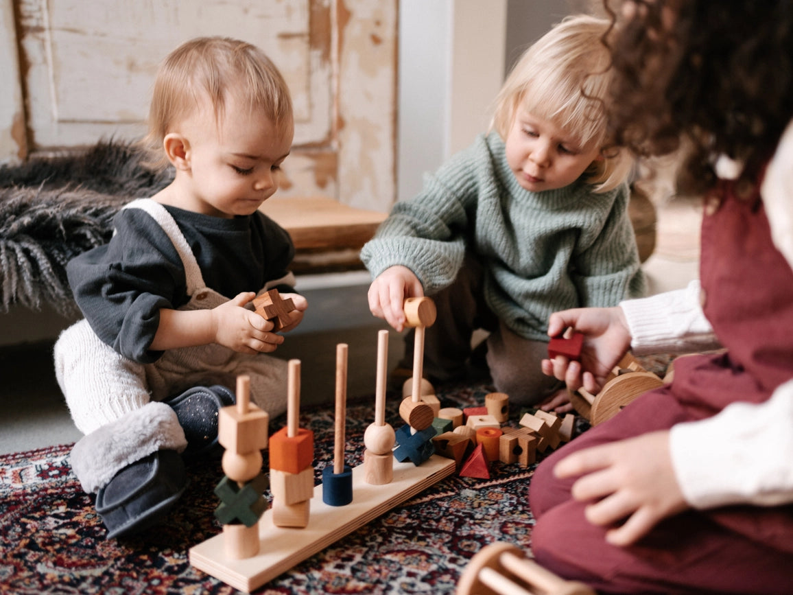 Montessori Steckspielzeug Natur