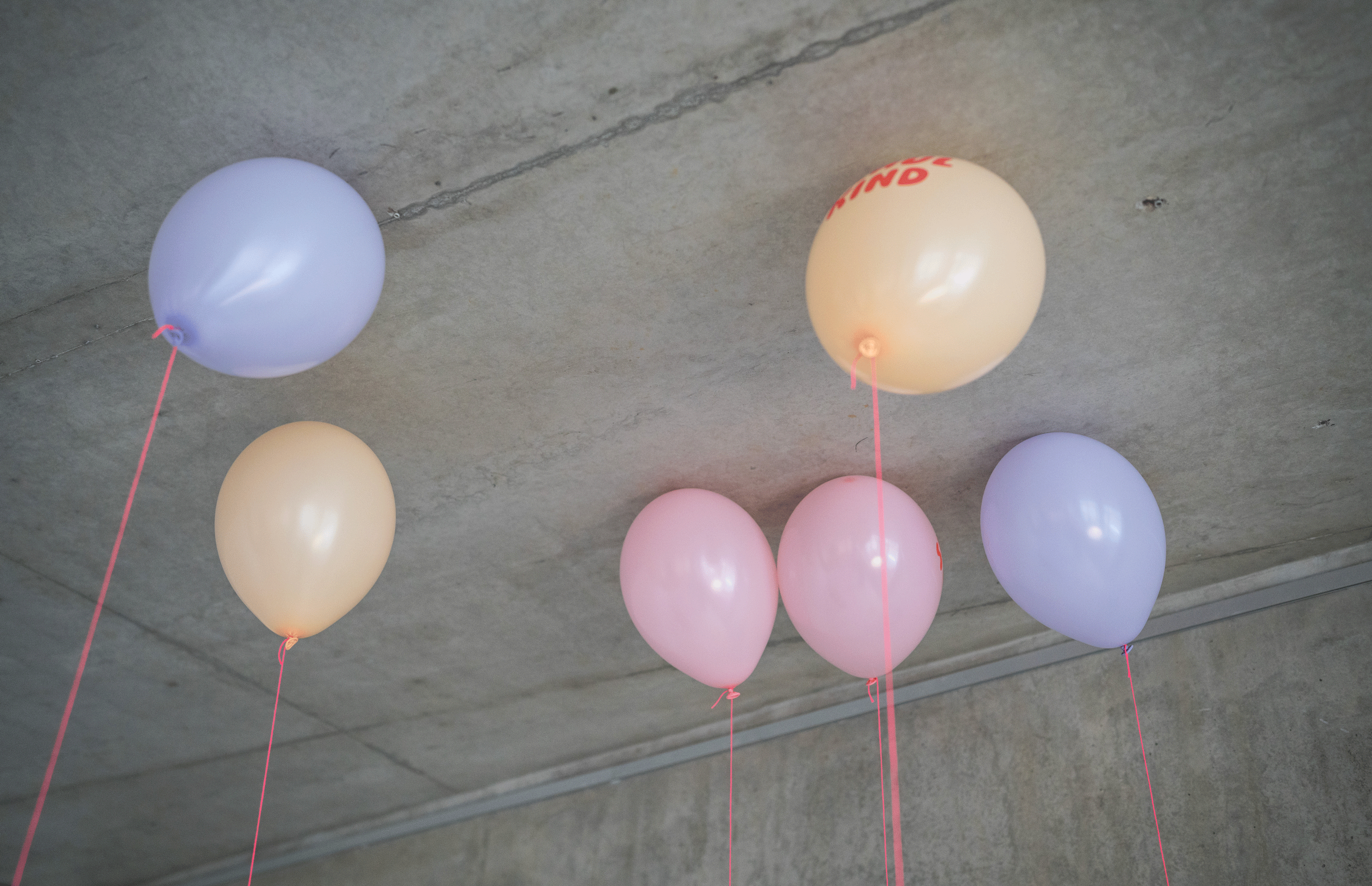 Schulkind Luftballon 6er Set | roas-Mix | 5 Stück