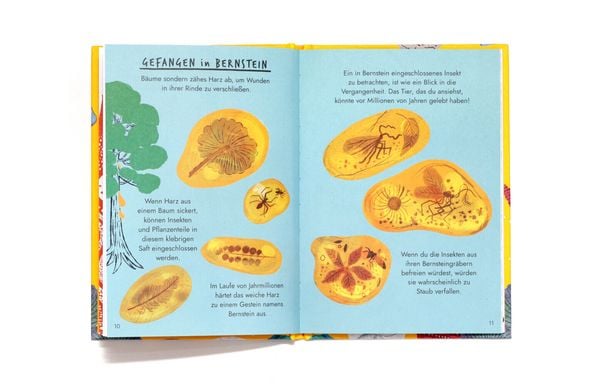 Hallo Fossilien & Muscheln - Nina Chakrabarti