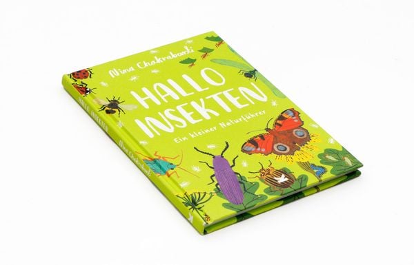 Hallo Insekten - Nina Chakrabarti