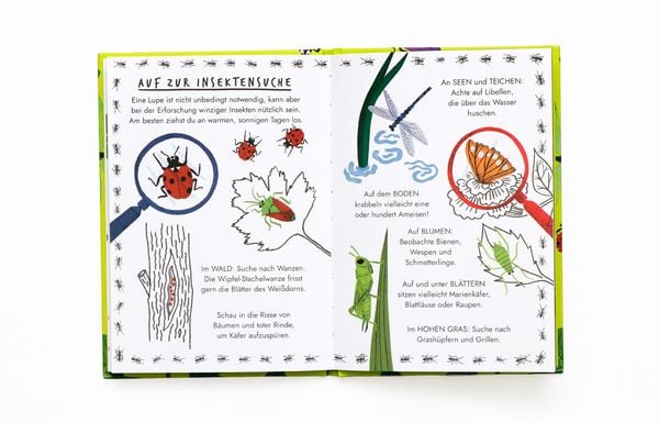 Hallo Insekten - Nina Chakrabarti